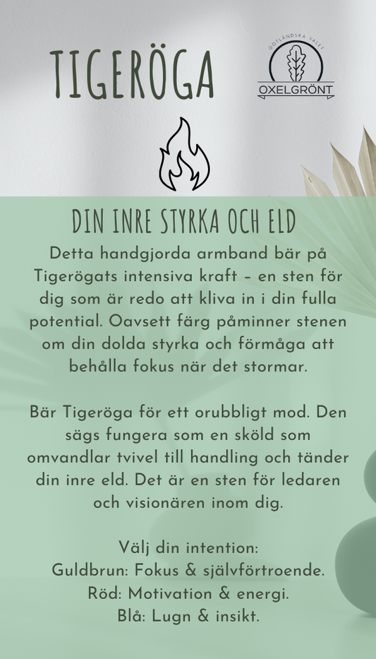 Armband med brun Tigeröga - 17 cm